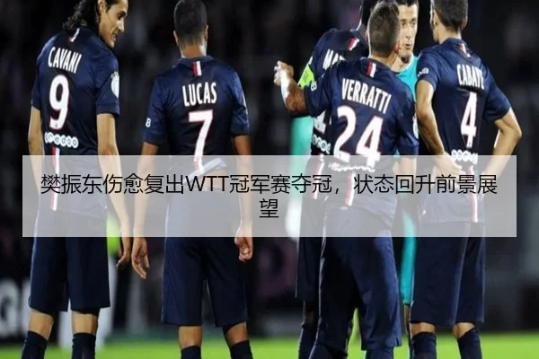 樊振东伤愈复出WTT冠军赛夺冠，状态回升前景展望
